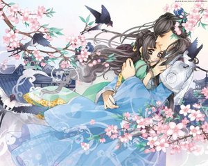 桃红世界官方进站